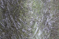 Brondesbury Park fibreglass roof work